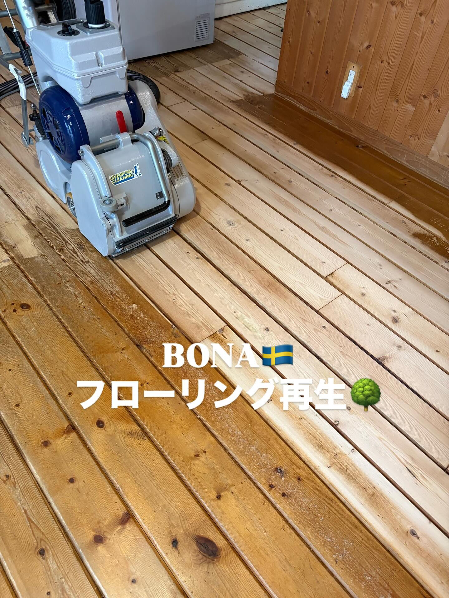 🏡 木のぬくもりがあふれる素敵なログハウス 🏡
