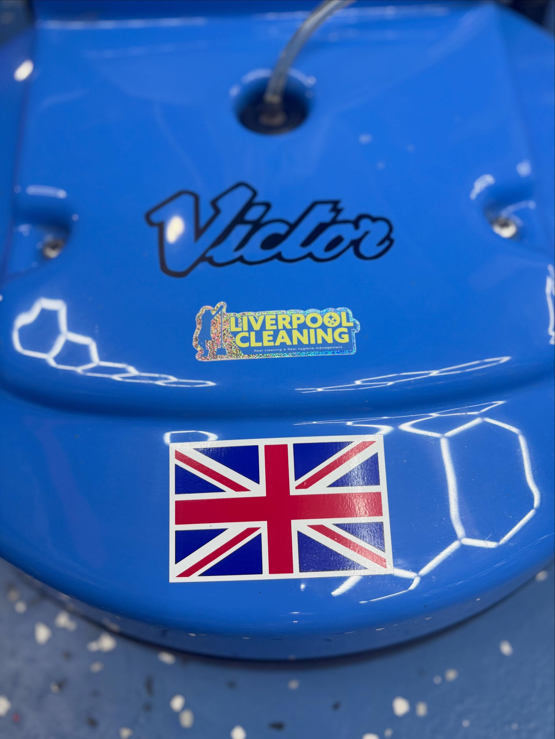 イギリス生まれの、